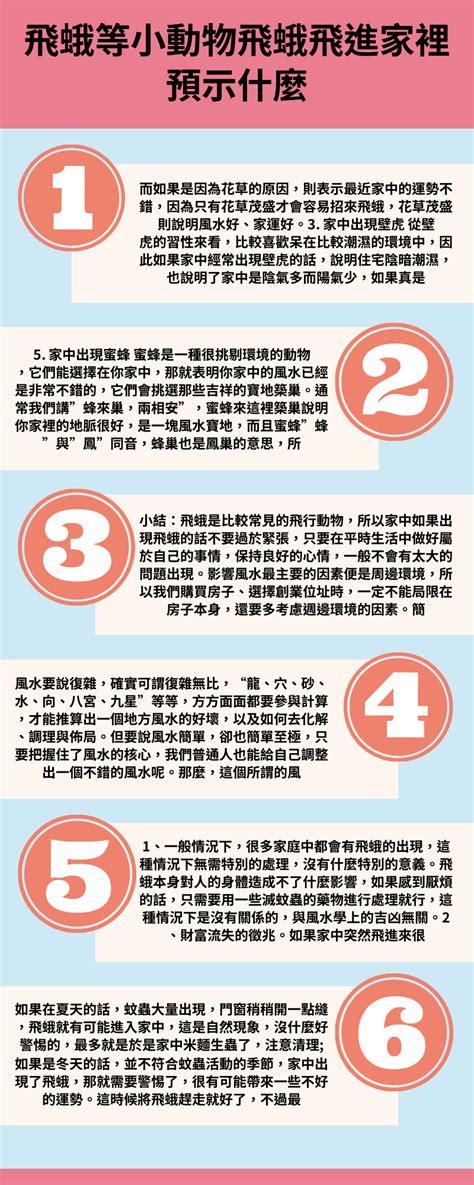 家門口有蛾|飛蛾飛進家裡預示什麼，是凶還是吉